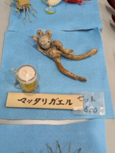 Read more about the article 7月26日(土）仙山マルシェ開催