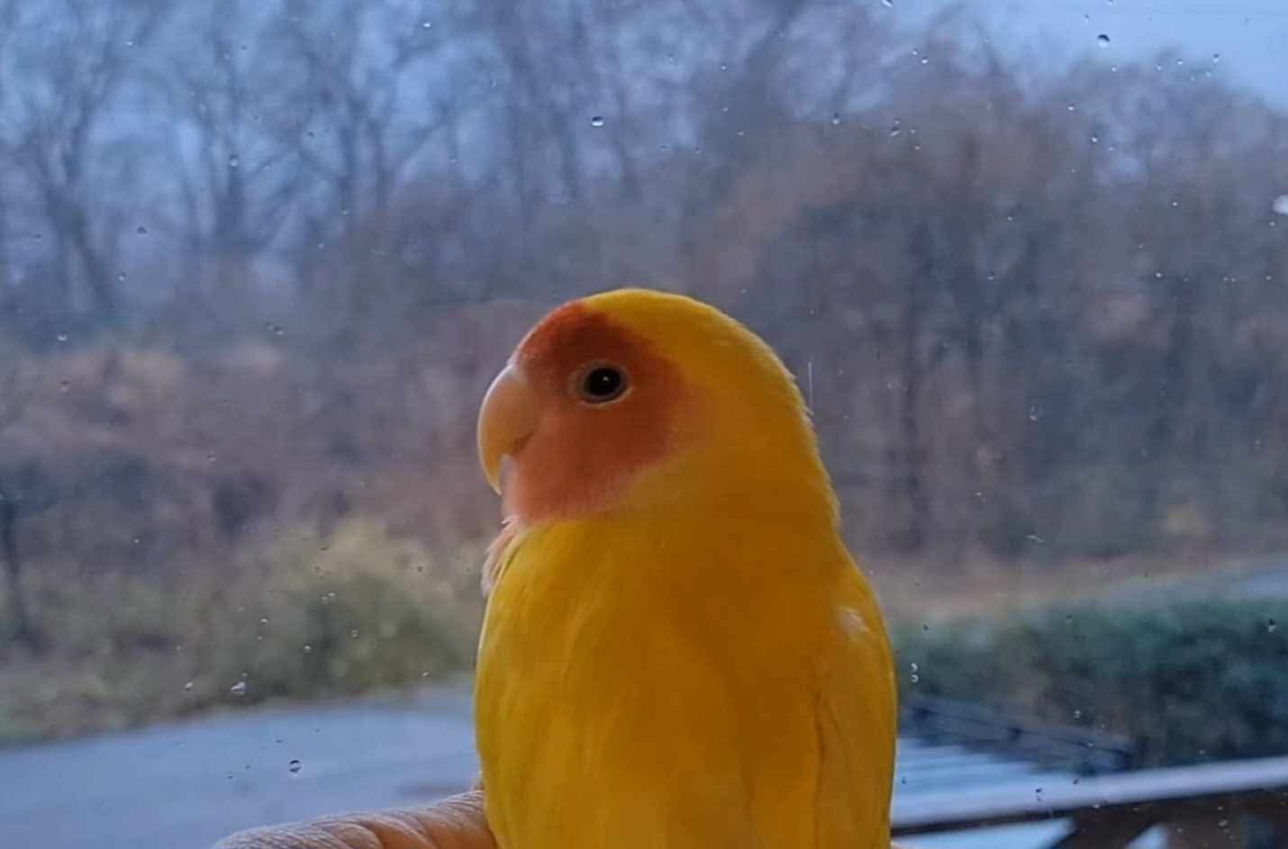 You are currently viewing 2026年　作並フォトコンテスト　結果発表